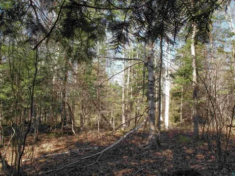 Yyy Big Cedar Trail Lutsen MN 55612