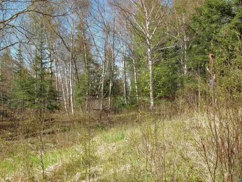 Yyy Big Cedar Trail Lutsen MN 55612