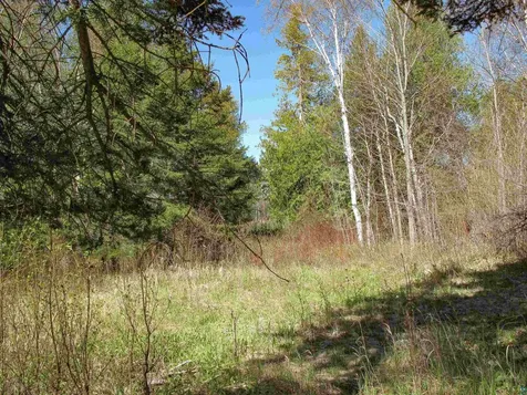 Yyy Big Cedar Trail Lutsen MN 55612