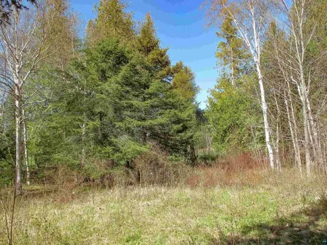 Yyy Big Cedar Trail Lutsen MN 55612