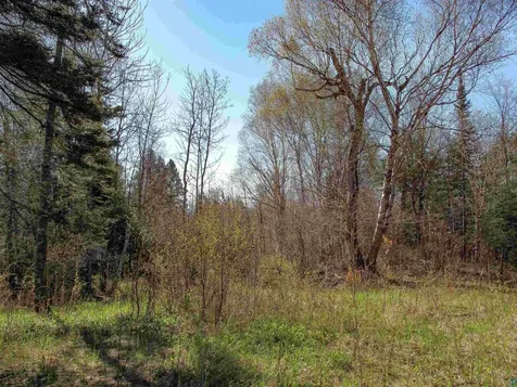 Yyy Big Cedar Trail Lutsen MN 55612