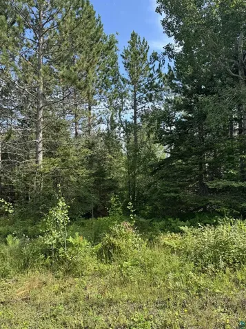 Xx High Ridge Drive Schroeder MN 55614