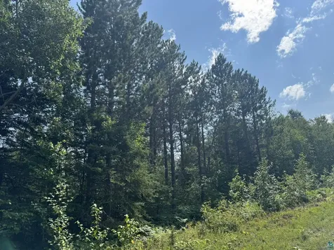 Xx High Ridge Drive Schroeder MN 55614