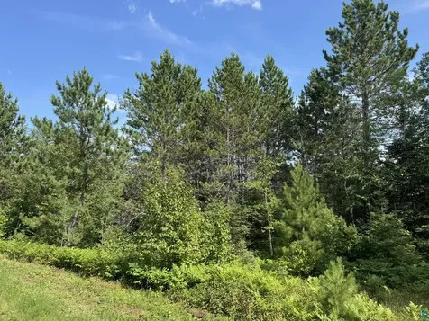 Xx High Ridge Drive Schroeder MN 55614