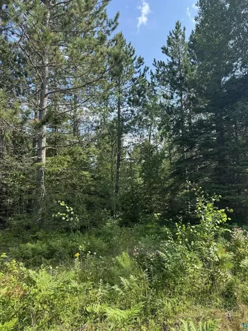 Xx High Ridge Drive Schroeder MN 55614