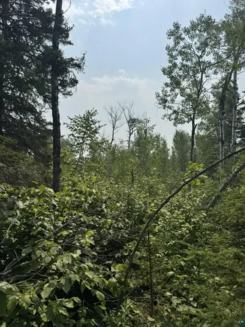 Xx High Ridge Drive Schroeder MN 55614
