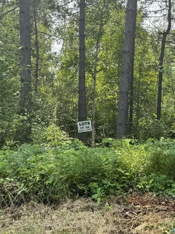 Xx High Ridge Drive Schroeder MN 55614