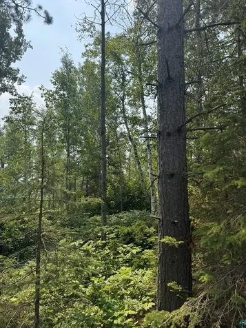 Xx High Ridge Drive Schroeder MN 55614