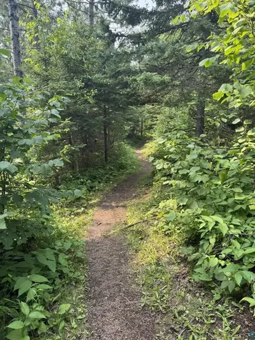 Xx High Ridge Drive Schroeder MN 55614
