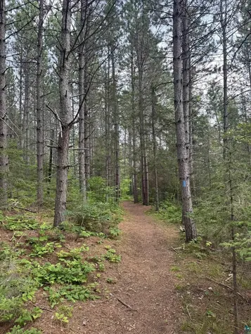 Xx High Ridge Drive Schroeder MN 55614