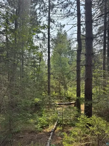 Xx High Ridge Drive Schroeder MN 55614