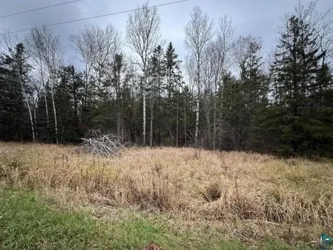 Tbd Townline Road Hibbing MN 55746