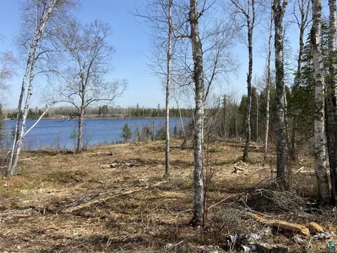 2102-14 N Bear Lake Road Brimson MN 55602