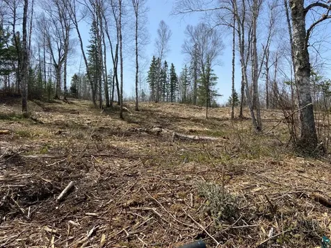 2102-14 N Bear Lake Road Brimson MN 55602