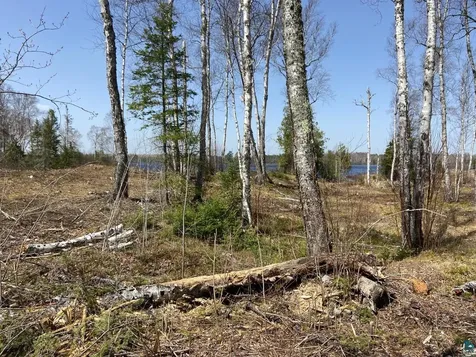 2102-13 N Bear Lake Road Brimson MN 55602