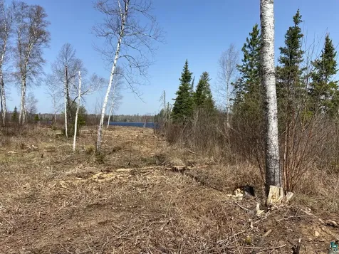 1215 S Bear Lake Road Brimson MN 55602