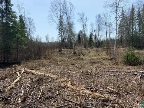 1215 S Bear Lake Road Brimson MN 55602
