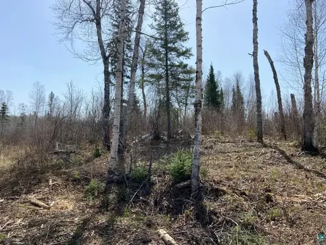 1215 S Bear Lake Road Brimson MN 55602