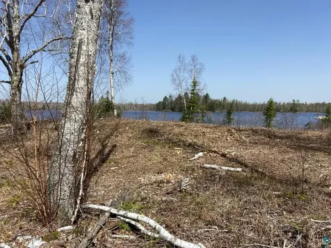 2102-11 N Bear Lake Road Brimson MN 55602