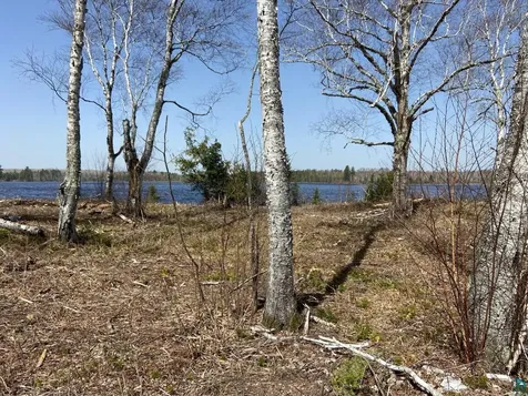 2102-11 N Bear Lake Road Brimson MN 55602