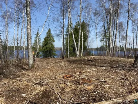 1179 S Bear Lake Road Brimson MN 55602