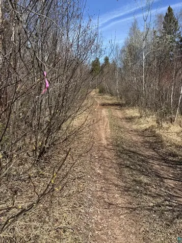 Xx Blueberry Hill Road Two Harbors MN 55616