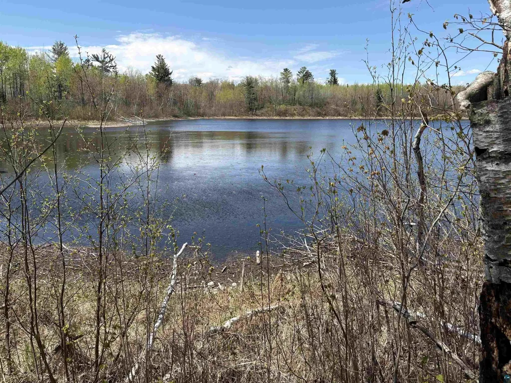 854X W Chub Lake Road Carlton MN 55718