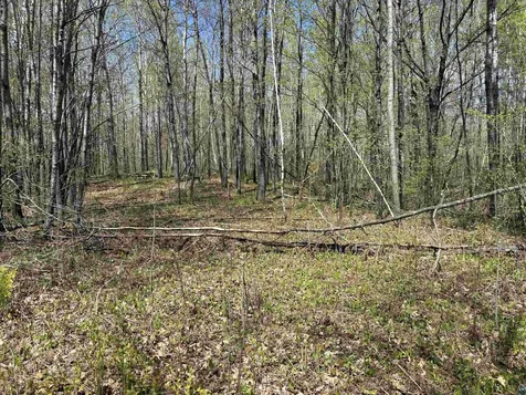 854X W Chub Lake Road Carlton MN 55718