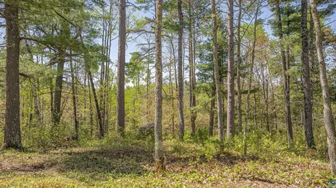 4151 Mud Creek Road Ely MN 55731-1635