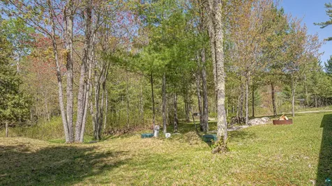 4151 Mud Creek Road Ely MN 55731-1635