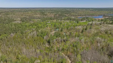 4151 Mud Creek Road Ely MN 55731-1635