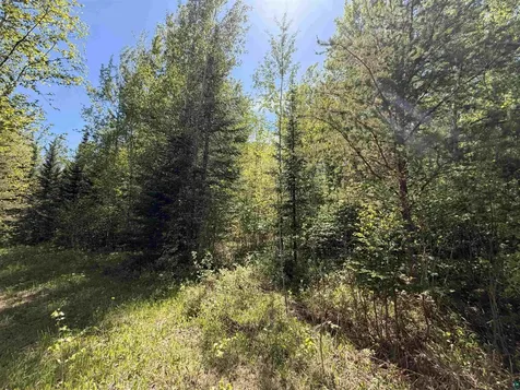 9685 Gunflint Trail Grand Marais MN 55604