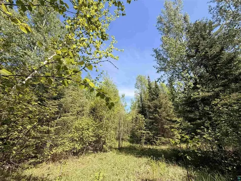 9685 Gunflint Trail Grand Marais MN 55604
