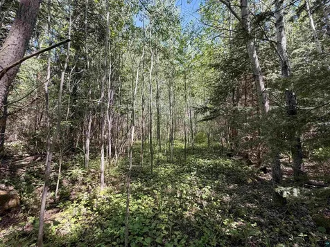 9685 Gunflint Trail Grand Marais MN 55604