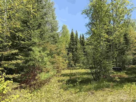 9685 Gunflint Trail Grand Marais MN 55604