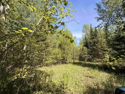 9685 Gunflint Trail Grand Marais MN 55604