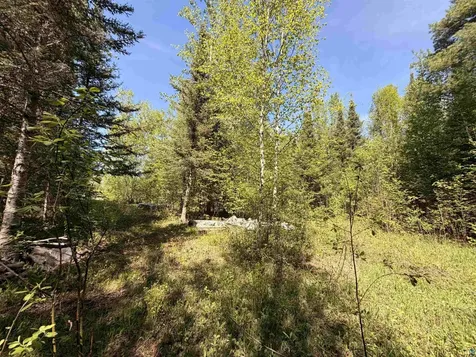 9685 Gunflint Trail Grand Marais MN 55604