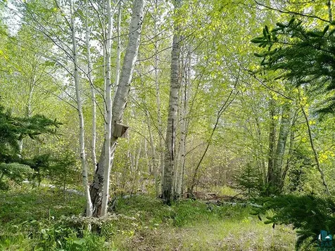 44 Lodge Lane Lutsen MN 55612