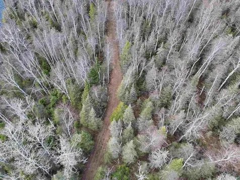 10097 Sister Lake Road Finland MN 55616