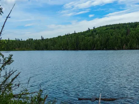 210 E Deeryard Lake Road Lutsen MN 55612