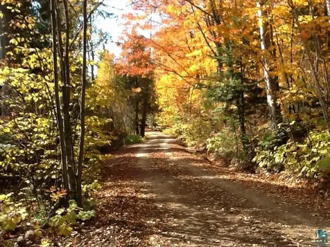 210 E Deeryard Lake Road Lutsen MN 55612