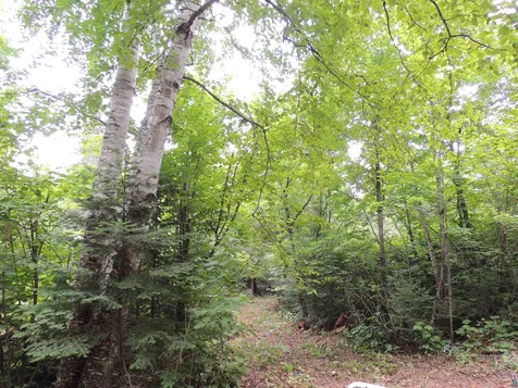 210 E Deeryard Lake Road Lutsen MN 55612