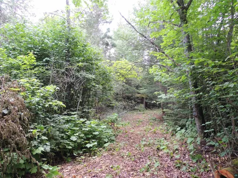 210 E Deeryard Lake Road Lutsen MN 55612