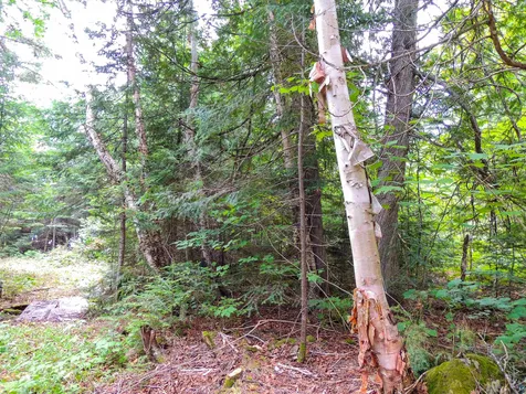 210 E Deeryard Lake Road Lutsen MN 55612