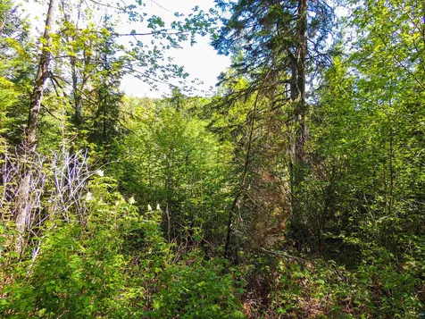 210 E Deeryard Lake Road Lutsen MN 55612