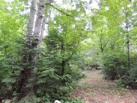 210 E Deeryard Lake Road Lutsen MN 55612