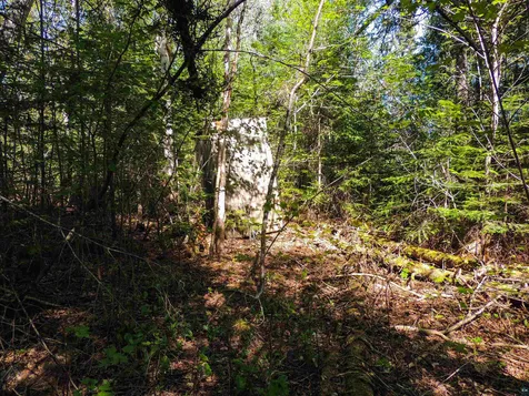 210 E Deeryard Lake Road Lutsen MN 55612