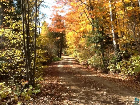 210 E Deeryard Lake Road Lutsen MN 55612