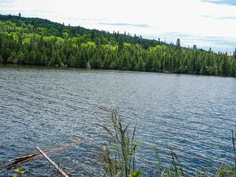 210 E Deeryard Lake Road Lutsen MN 55612