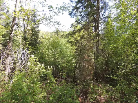 210 E Deeryard Lake Road Lutsen MN 55612
